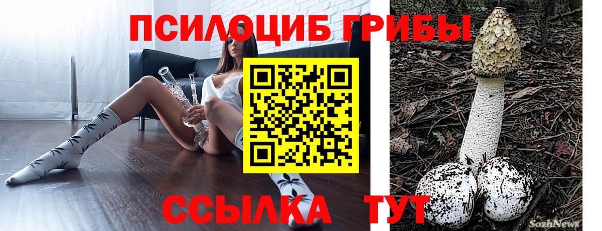 Псилоцибиновые грибы ЛСД Междуреченск